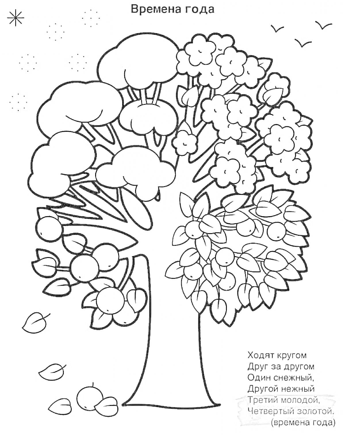 На раскраске изображено: Времена года, Зима, Весна, Лето, Осень, Листья, Цветы, Звезды