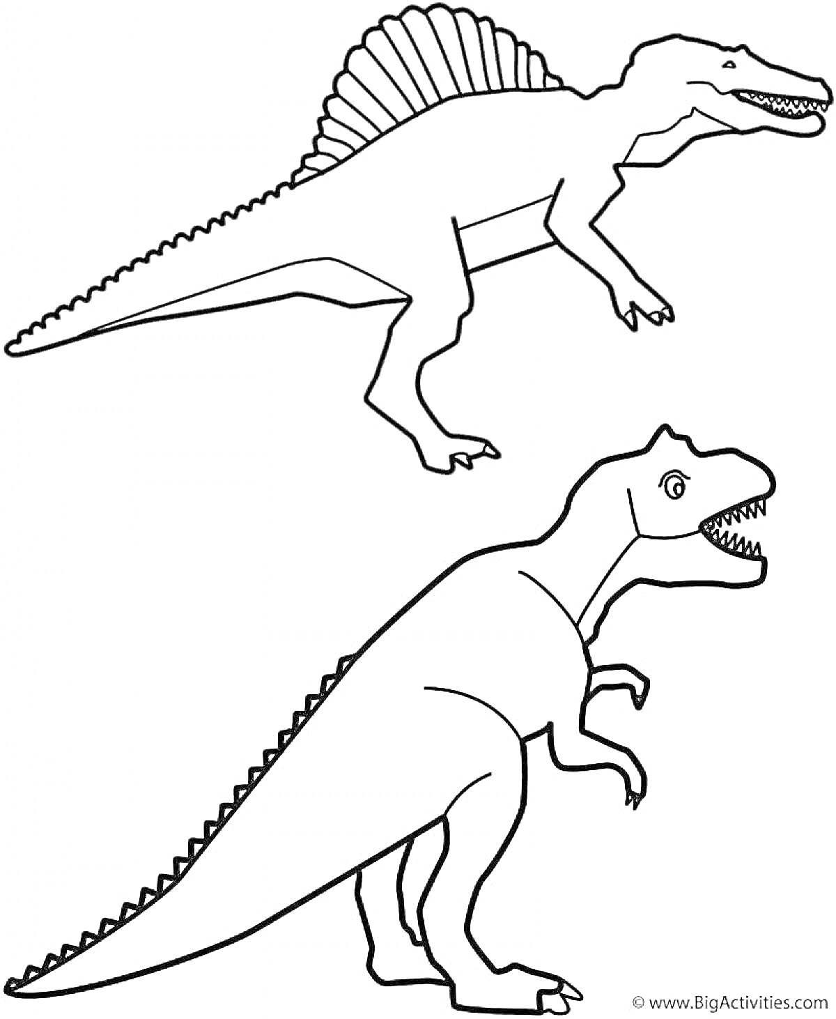 На раскраске изображено: Спинозавр, Для детей, Динозавр, Контурные рисунки, Тираннозавр Рекс, Древние животные