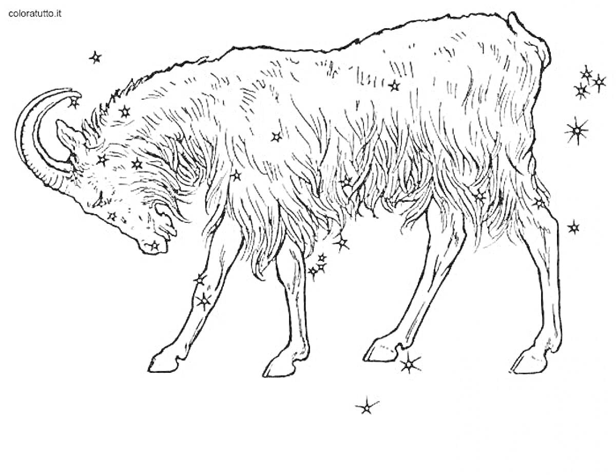 Раскраска Козерог с рогами, окруженный звездами