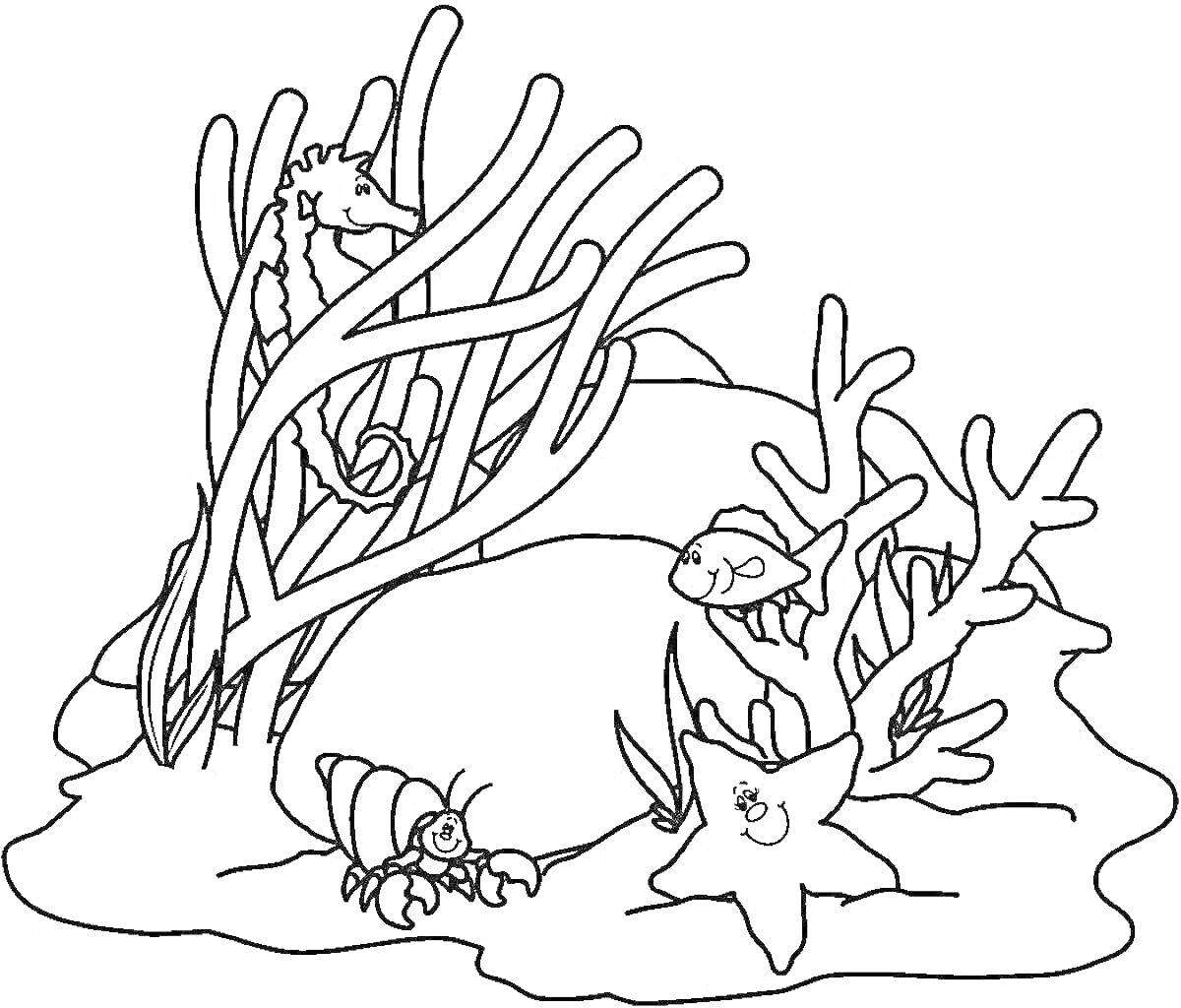 На раскраске изображено: Кораллы, Морское дно, Морской конек, Краб, Подводный мир, Морская жизнь