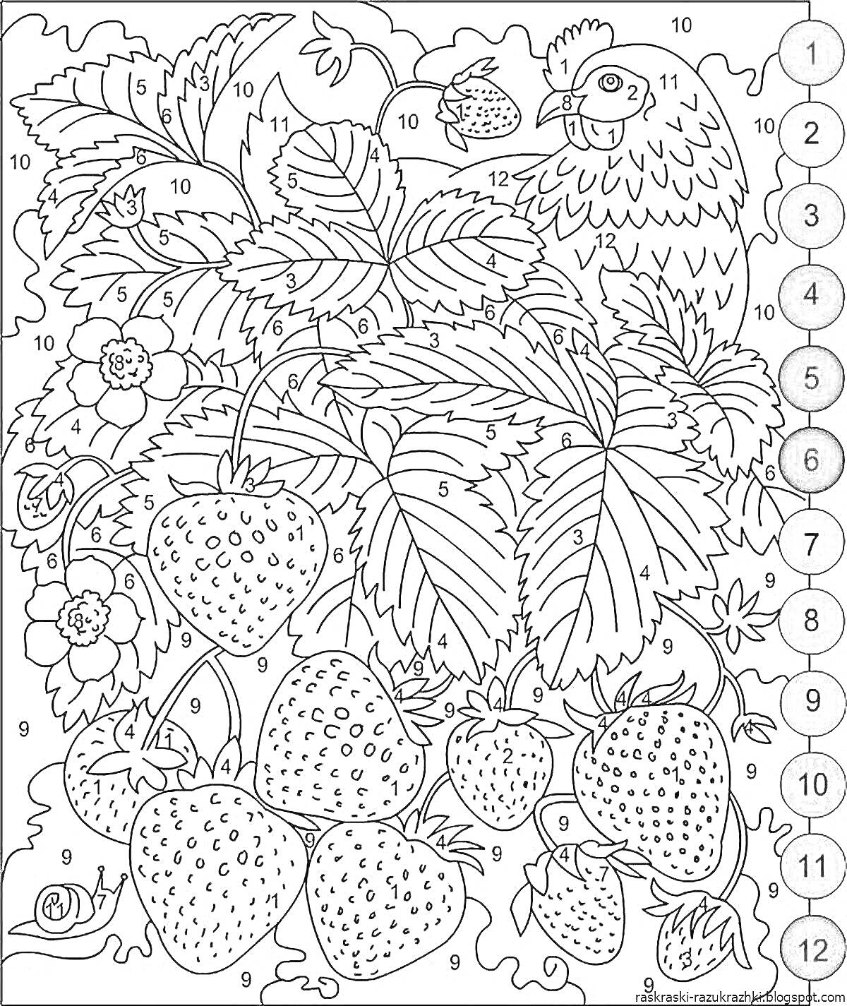 На раскраске изображено: Клубника, Ягоды, Цветы, Листья, Сложные, Для девочек, Природа, Птица