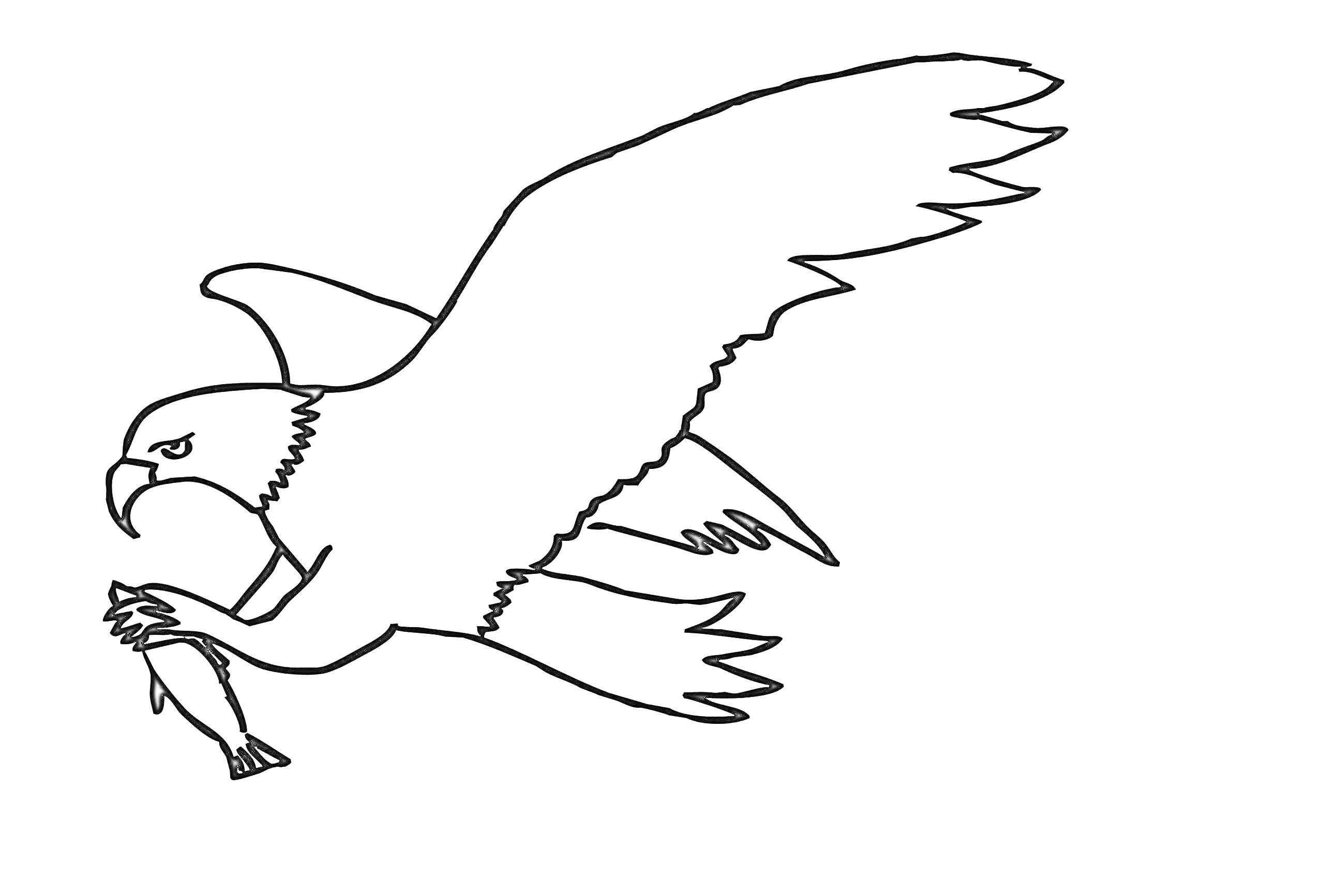 Раскраска Орел с рыбой в когтях