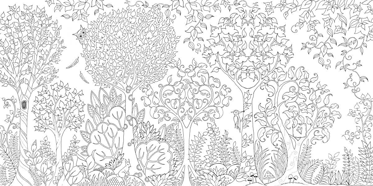 Раскраска Волшебный сад с различными видами деревьев, птицами, цветами и лианами
