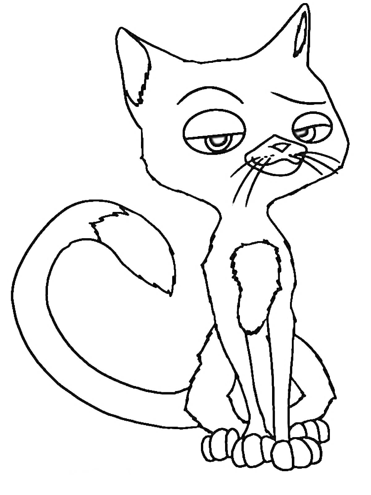 Раскраска Кошка с пренебрежительным выражением лица из мультфильма 