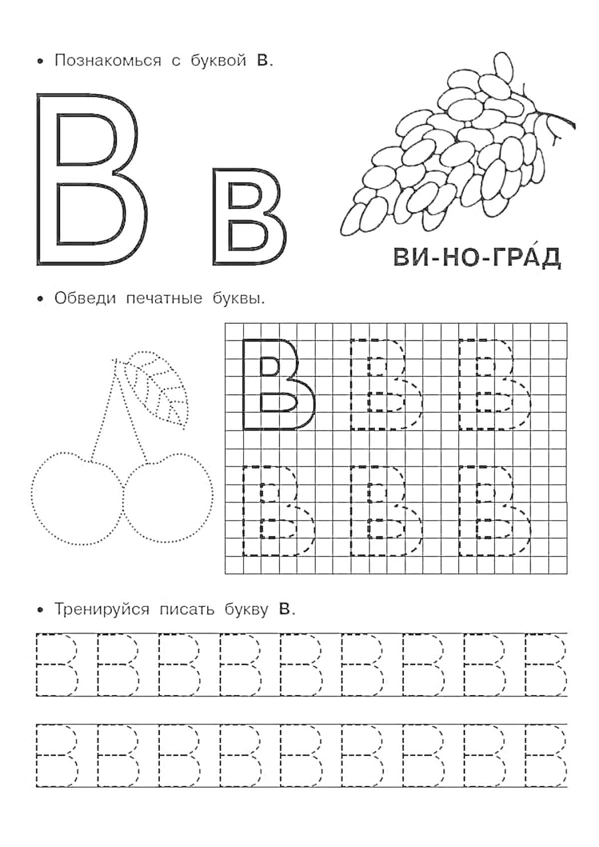 Изучение печатной буквы В с рисунками винограда и вишни