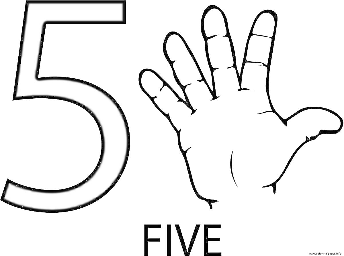Раскраска Число пять с рукой, показывающей пять пальцев, и надписью 