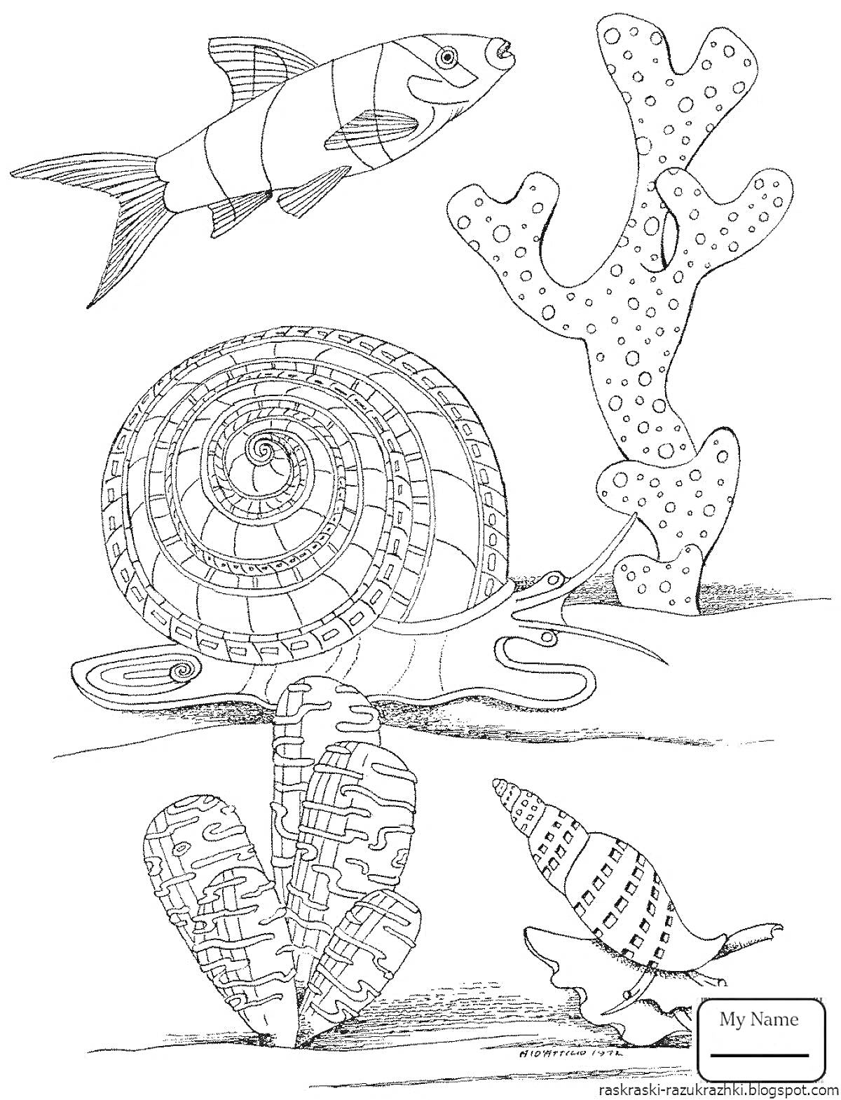 На раскраске изображено: Водный мир, Рыба, Улитка, Водоросли, Ракушка, Подводный мир