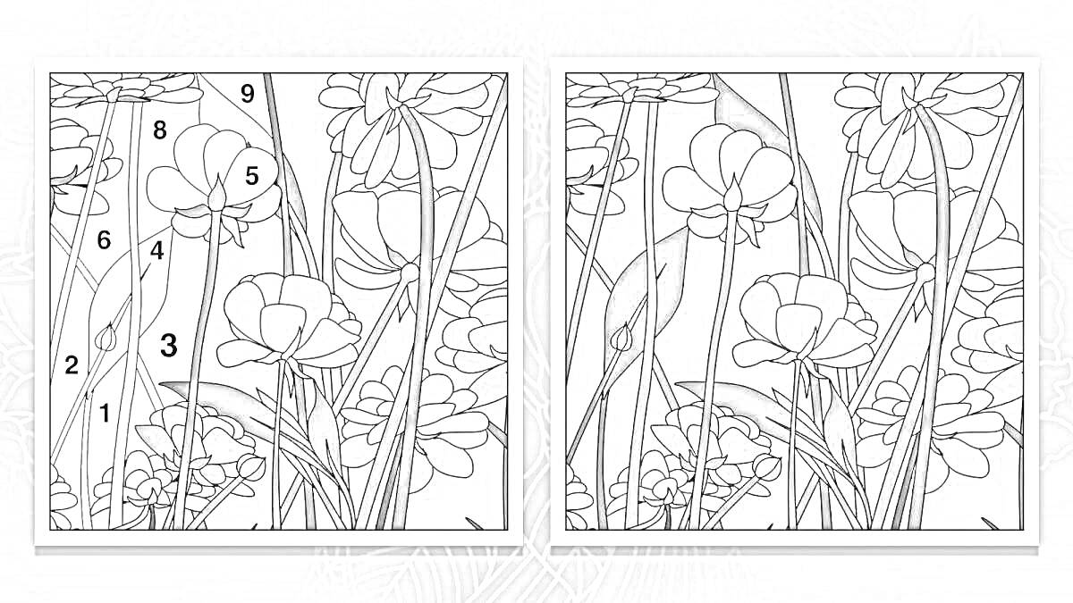 Раскраска Раскраска по номерам - Цветущий сад с высокими растениями и цветами