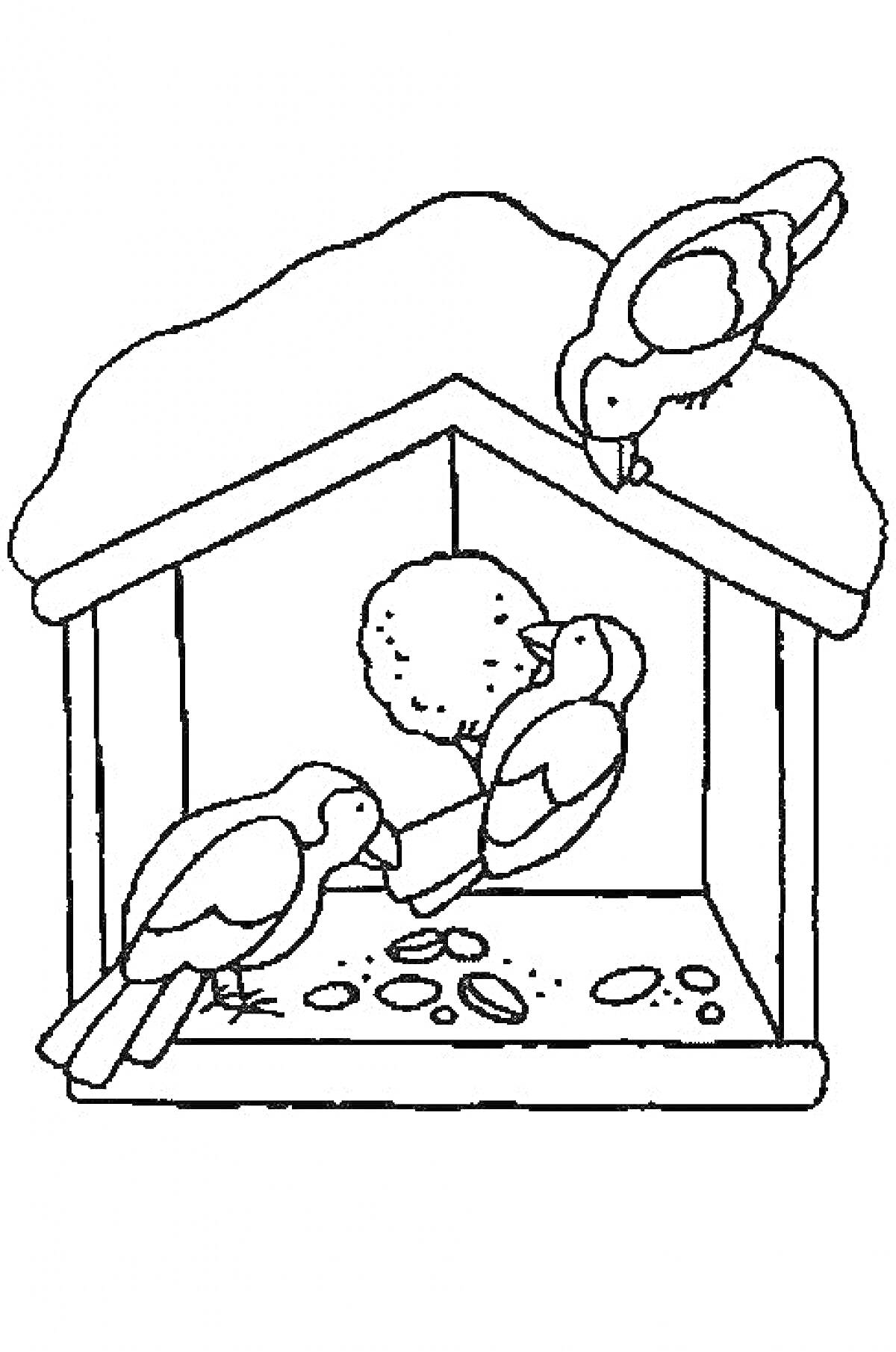 Раскраска Кормушка с тремя птицами и кормом внутри