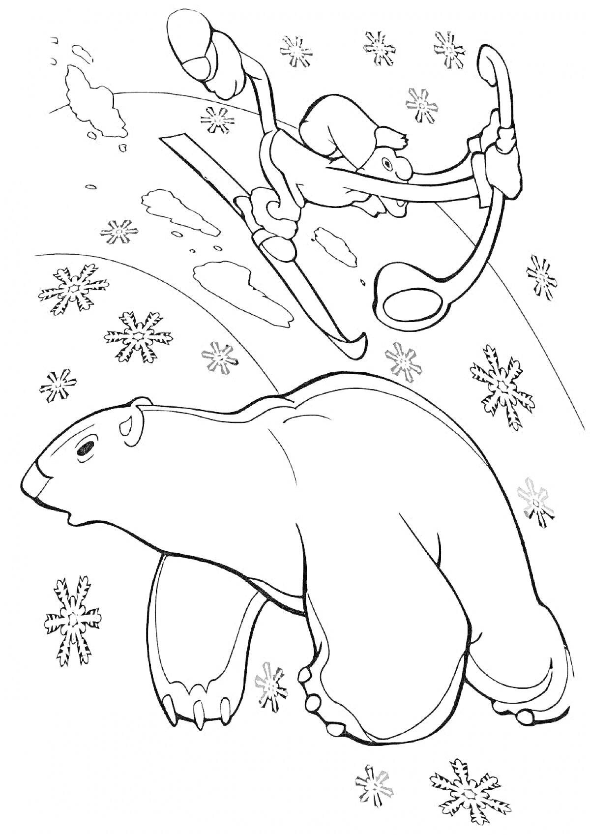 На раскраске изображено: Лыжник, Белый медведь, Склон, Снег, Снежинки