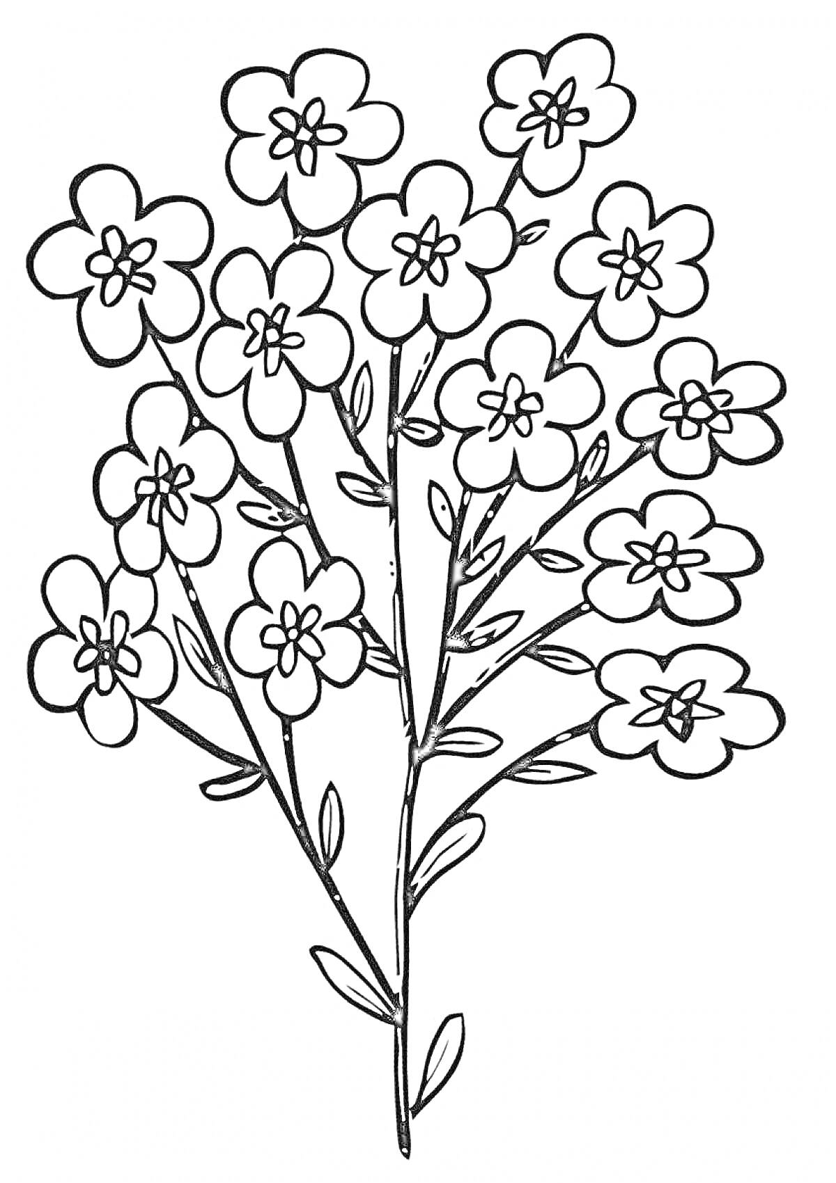 На раскраске изображено: Лен, Цветы, Листья, Ботаника, Растения