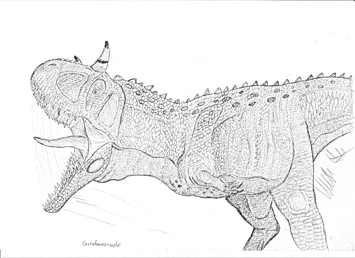 Карнотавр-раскраска с детализированным изображением динозавра, рот открыт, видны зубы, костные выступы на голове, чешуйчатая текстура кожи, короткие передние конечности, длинные задние конечности, верхний плавник вдоль спины.