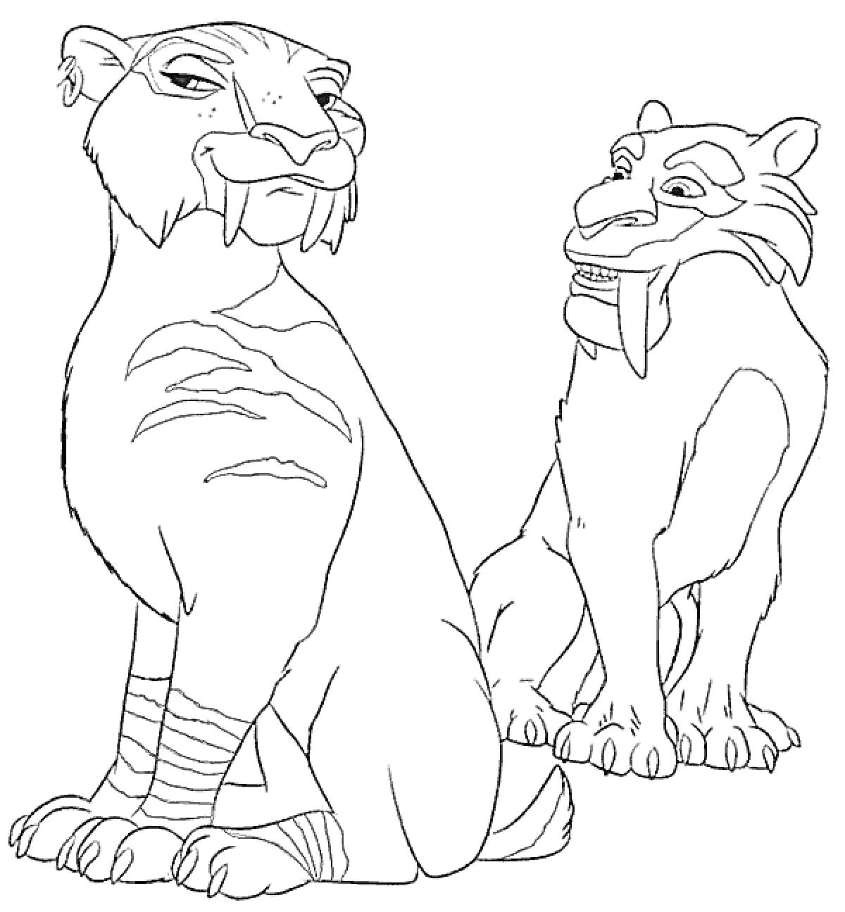 Раскраска Две саблезубые кошки из «Ледникового периода»