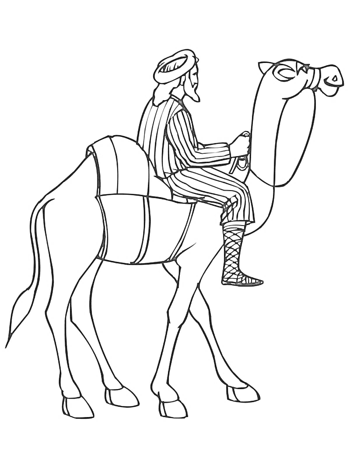 Раскраска Всадник на верблюде в традиционной одежде с головным убором и завязанной обувью
