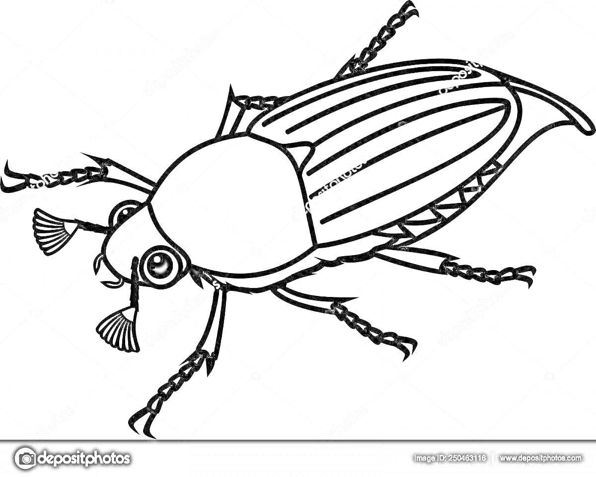 Раскраска Жук с большими глазами и усиками, простой стиль, чёрно-белая раскраска