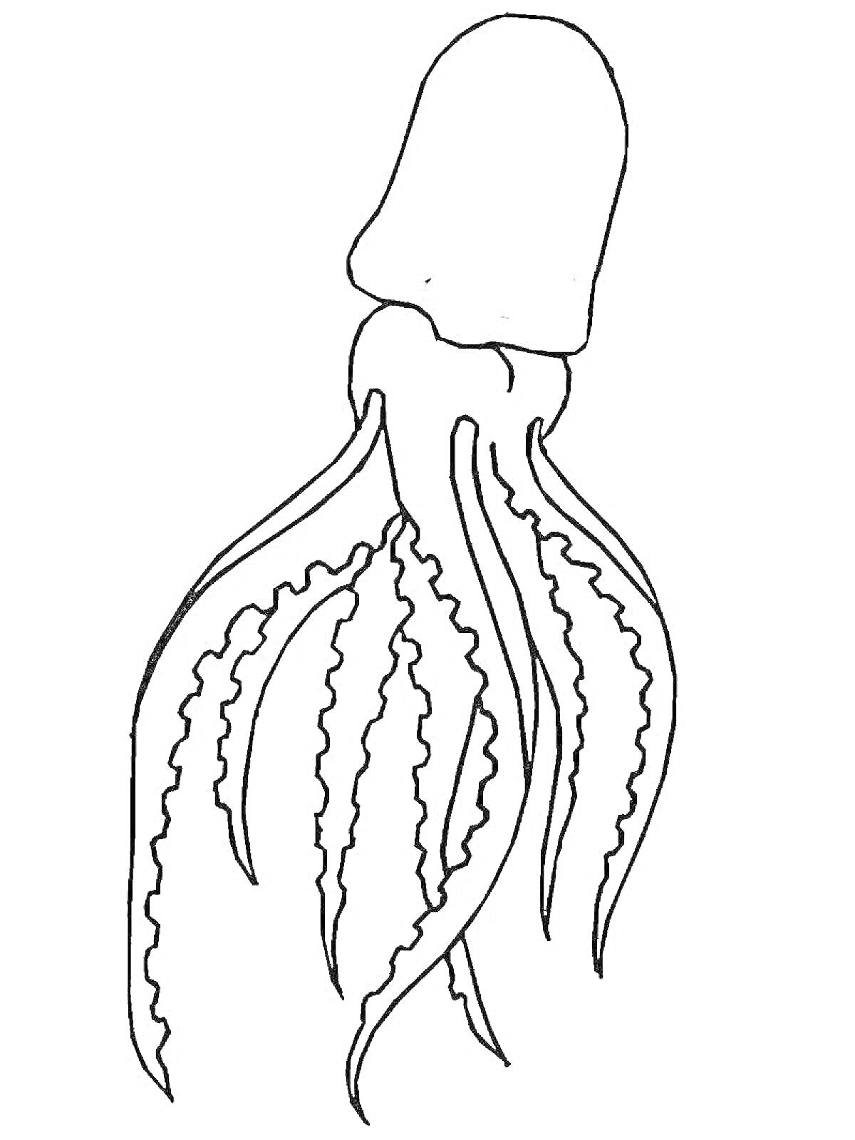 На раскраске изображено: Гигантский кальмар, Морские животные, Щупальца, Морская жизнь, Подводный мир