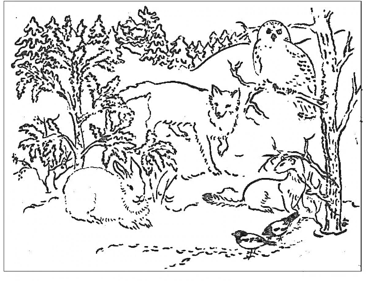 Раскраска Лес зимой, зайцы, лиса, сова, птицы и деревья