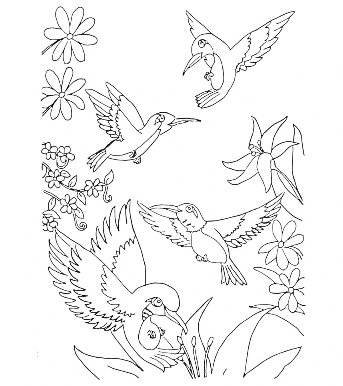 На раскраске изображено: Колибри, Цветы, Природа, Обучающие материалы