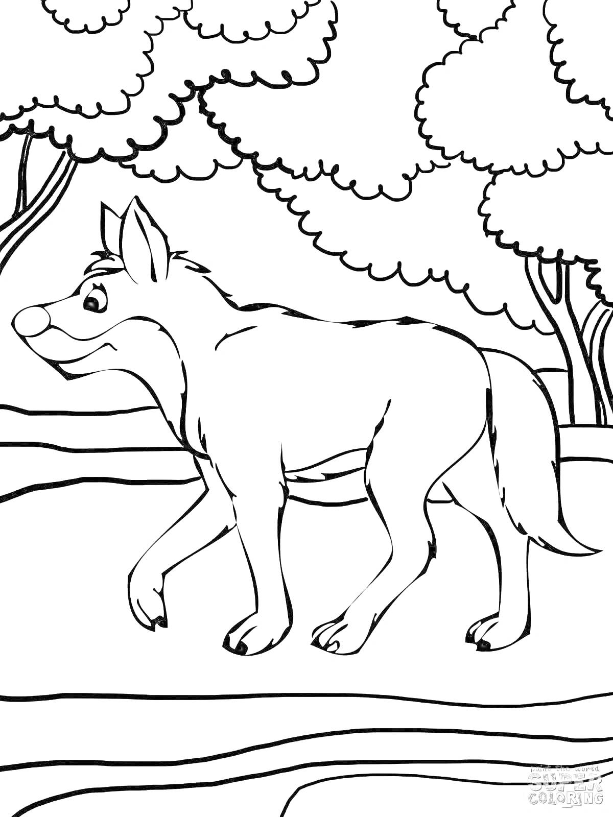 Раскраска Волк на прогулке зимой среди деревьев