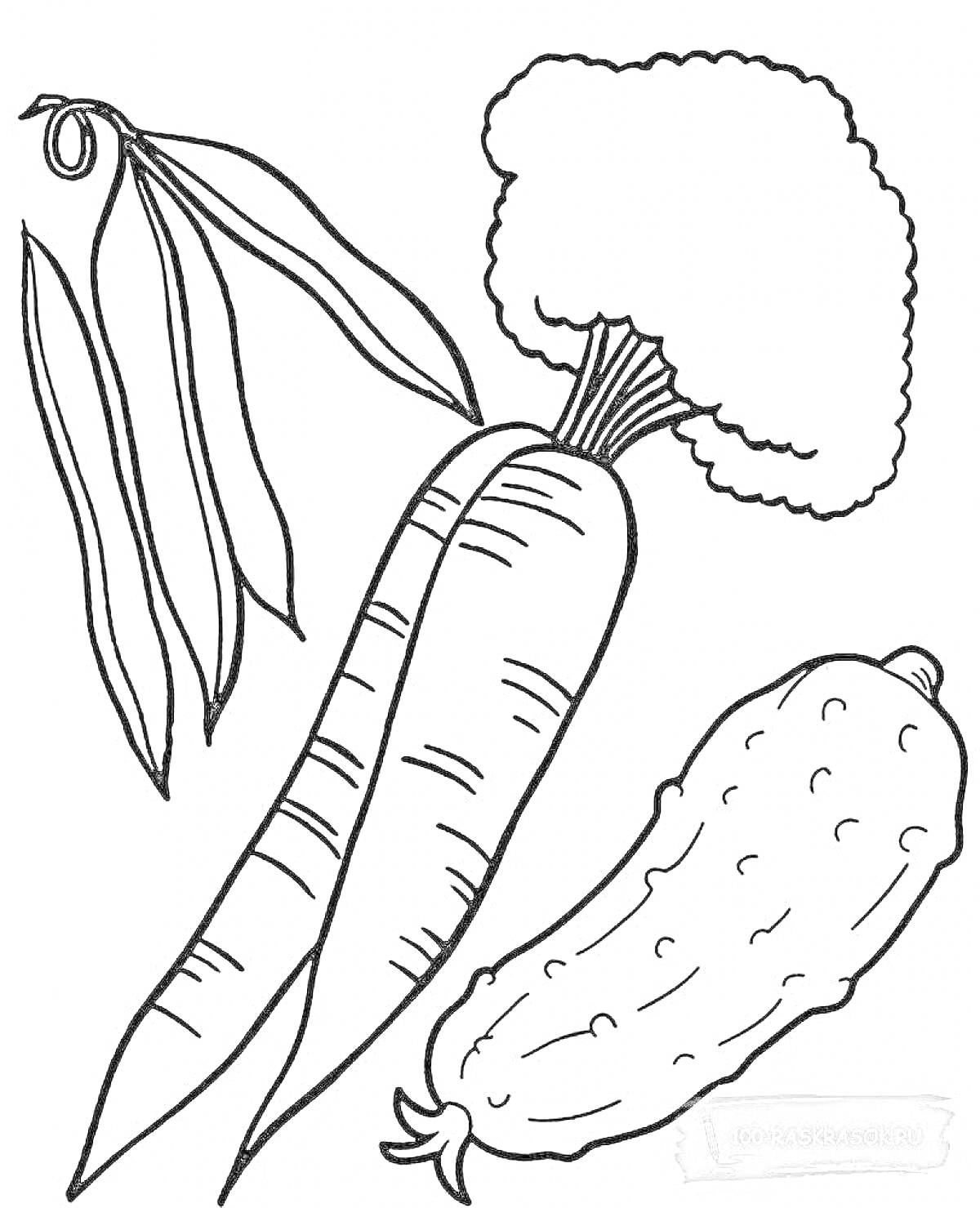 На раскраске изображено: Брокколи, Огурец, Овощи, Краски, Контурные рисунки, Морковь