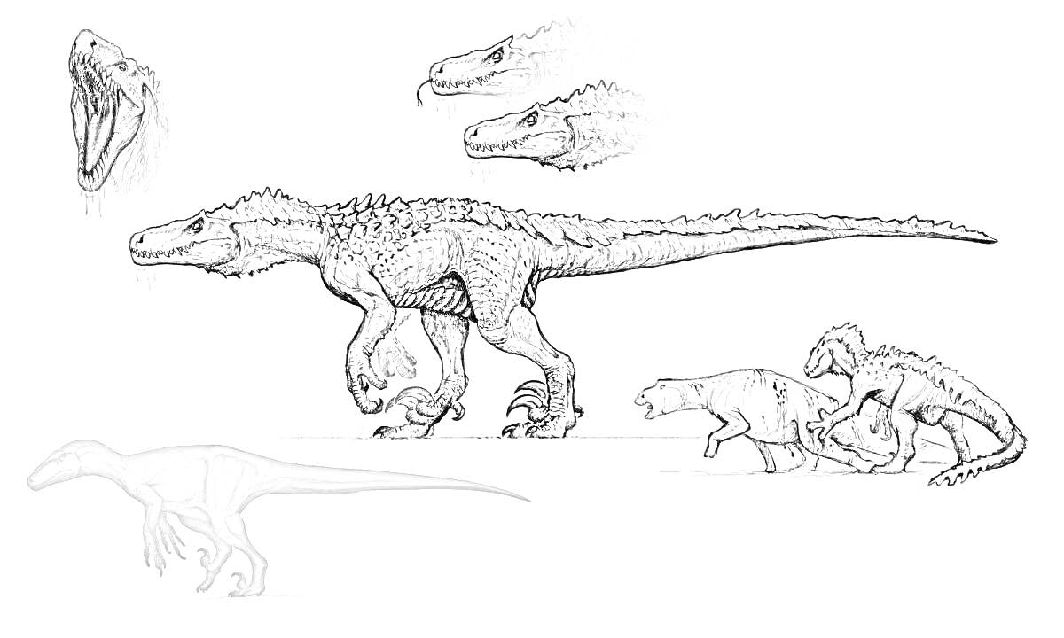На раскраске изображено: Динозавр, Профиль, Открытый рот, Древние животные