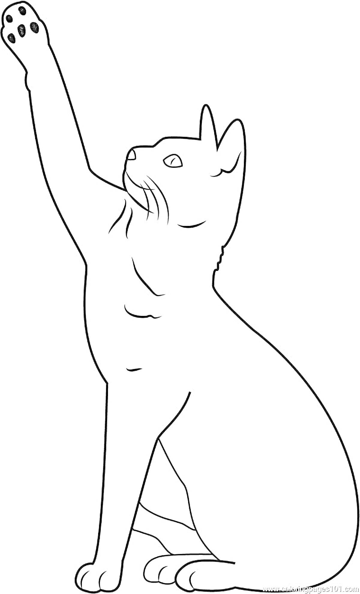 На раскраске изображено: Кот, Поднятая лапа