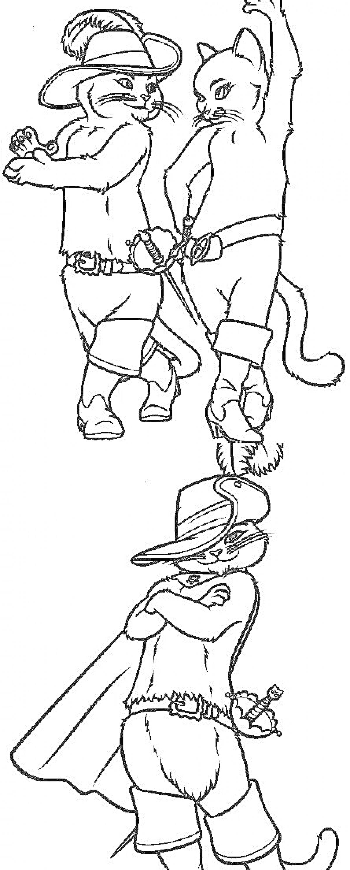 Два кота в шляпах и сапогах с кинжалами, танцуют и позируют