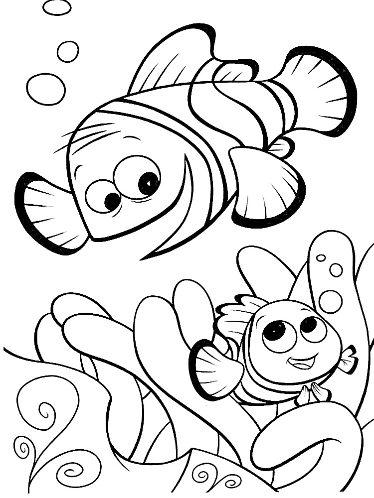 Два рыбки-клоуна, плавающие среди кораллов с пузырьками