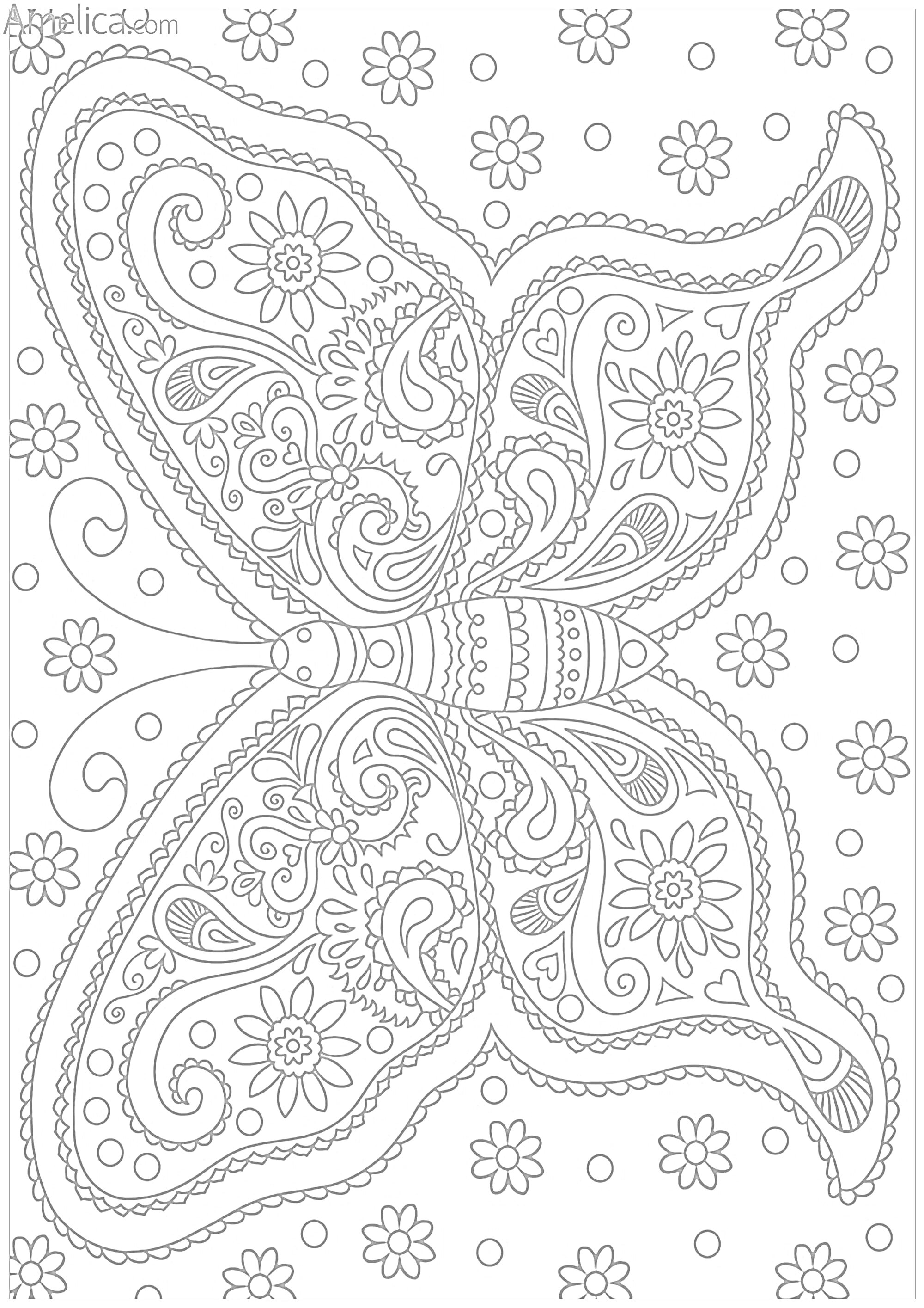 Раскраска Бабочка с узорами, цветами и спиральными элементами на фоне цветочного узора
