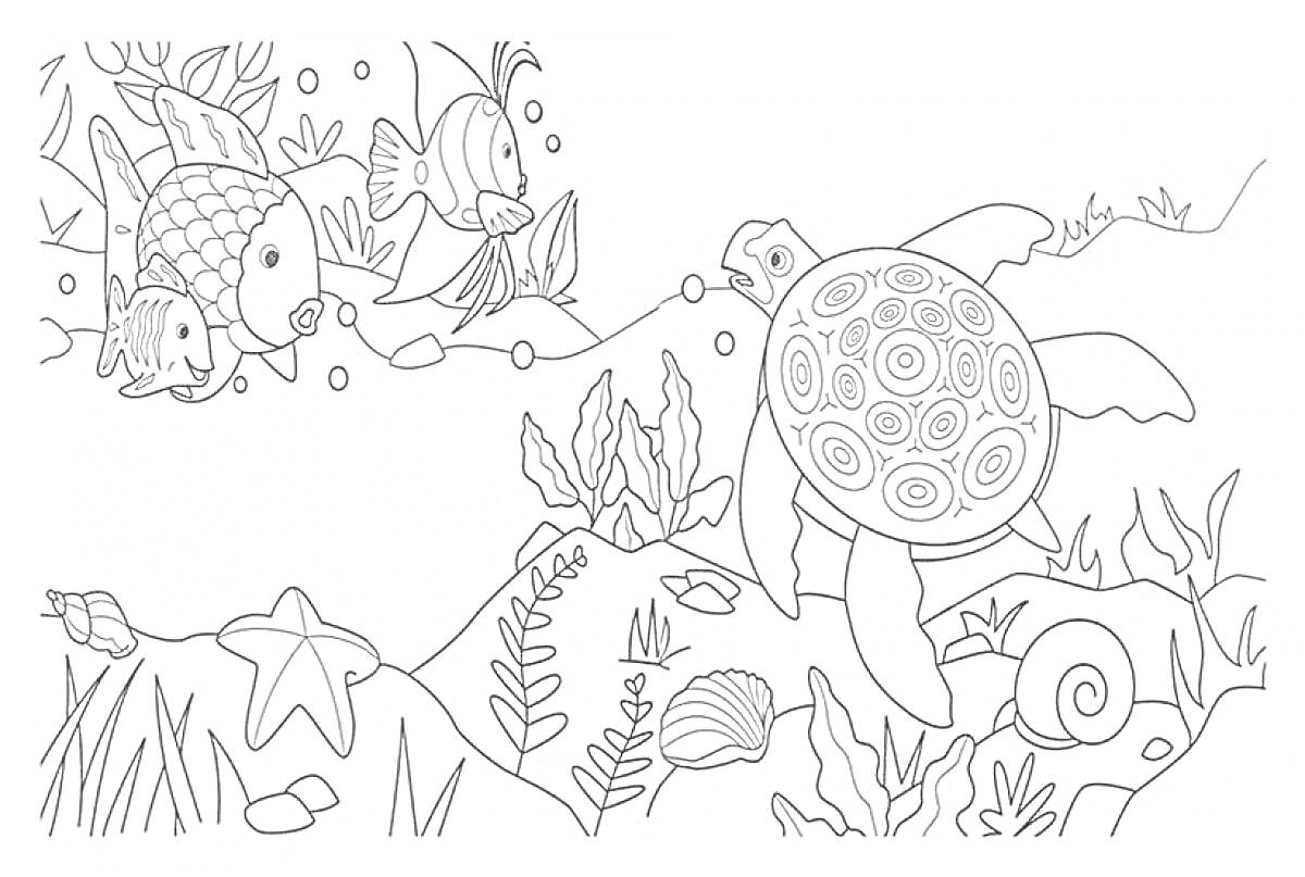 Раскраска Морское дно с черепахой, рыбами, водорослями, морской звездой, ракушкой и улиткой