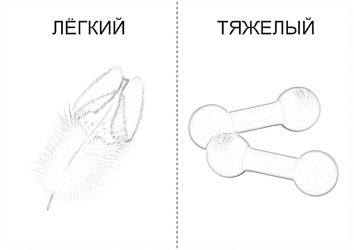 На раскраске изображено: Легкий, Гантели, Сравнение, Вес