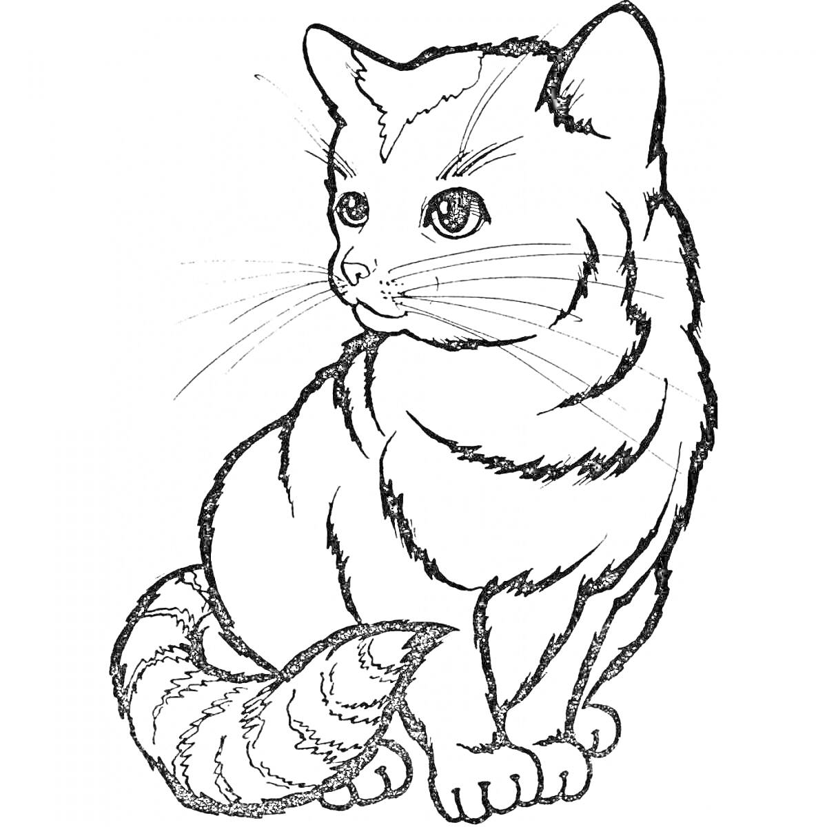 Раскраска Кот, сидящий с повернутой головой