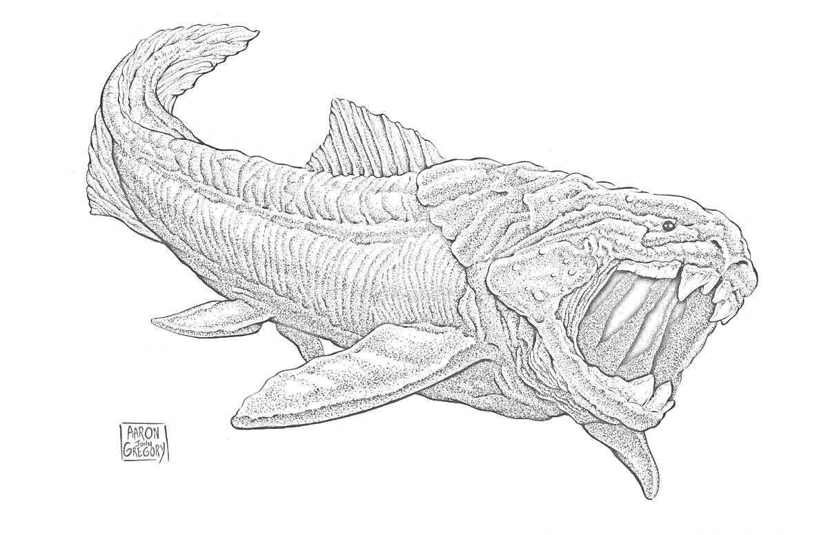 На раскраске изображено: Дунклеостей, Рыба, Древняя рыба, Ископаемое, Челюсти
