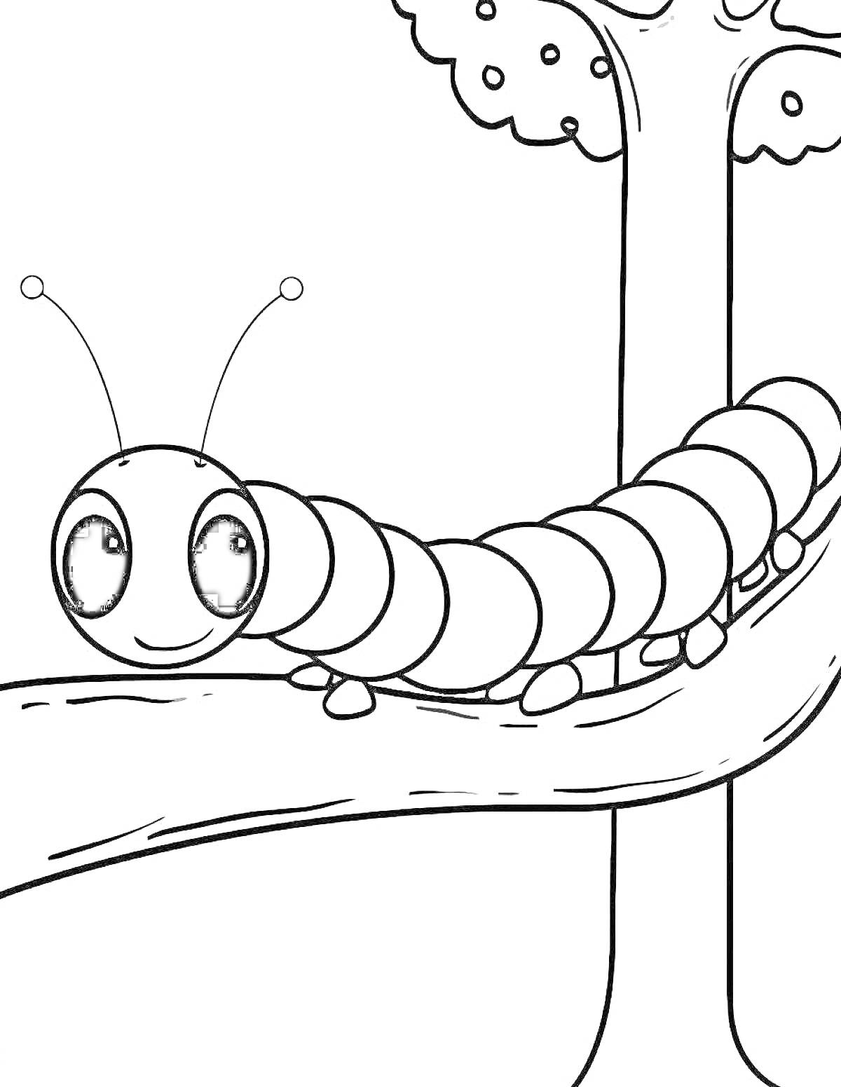 Раскраска Гусеница на ветке под деревом