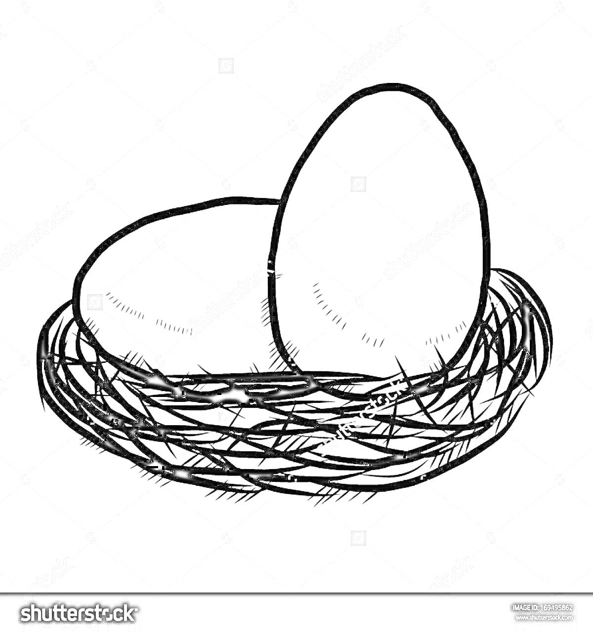 Раскраска Гнездо с двумя яйцами