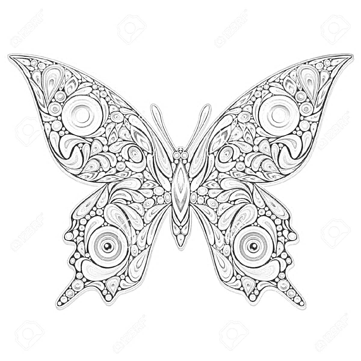 На раскраске изображено: Бабочка, Узоры, Крылья, Природа, Насекомое, Мелкие детали