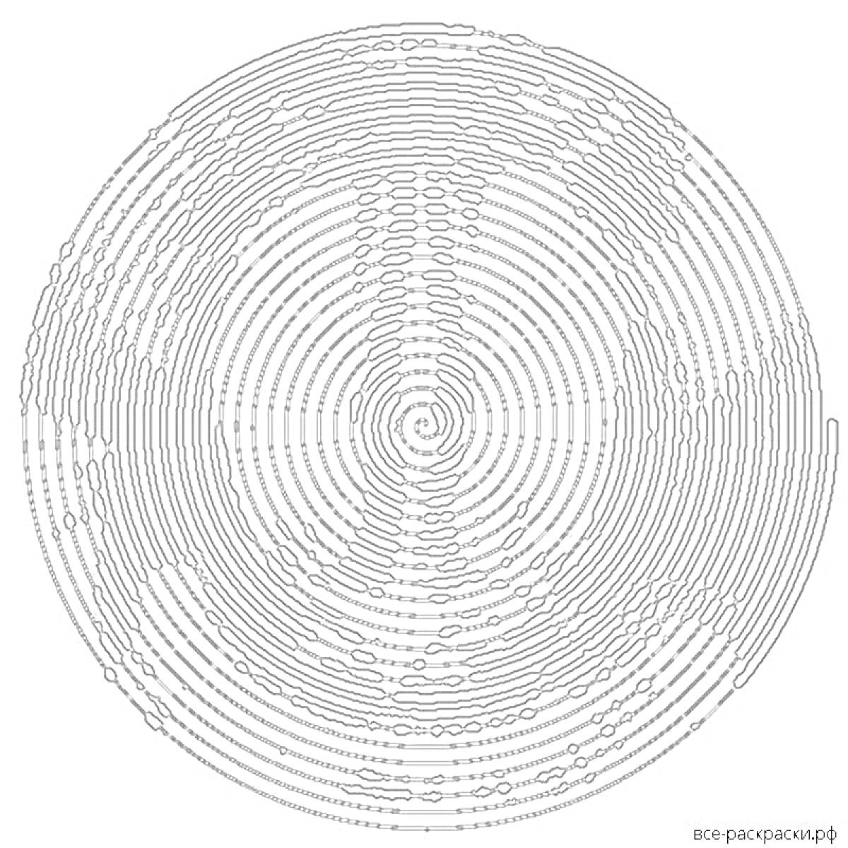 Раскраска Спиральная раскраска с узором в виде концентрических кругов