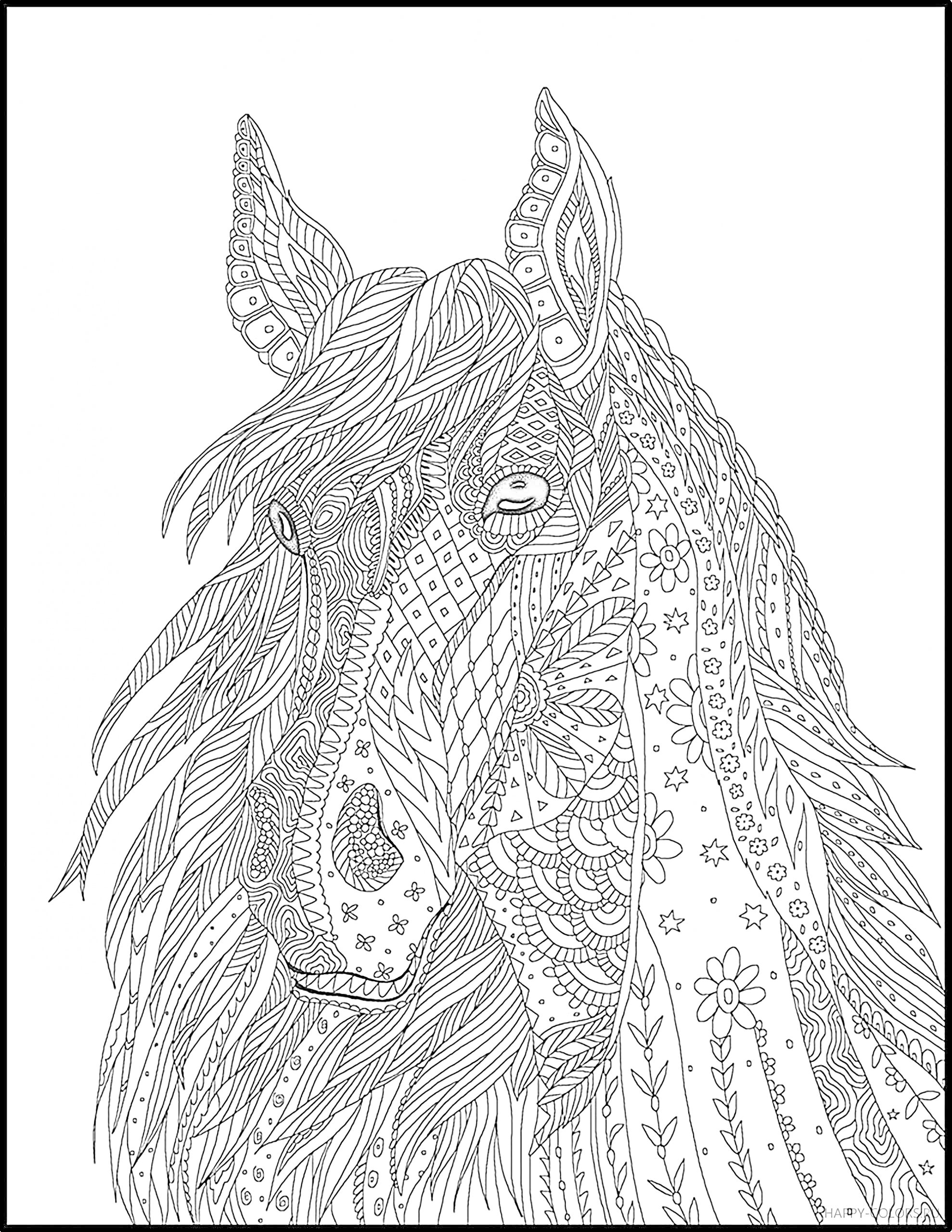 Раскраска Лошадь с декоративным рисунком из цветов и геометрических узоров