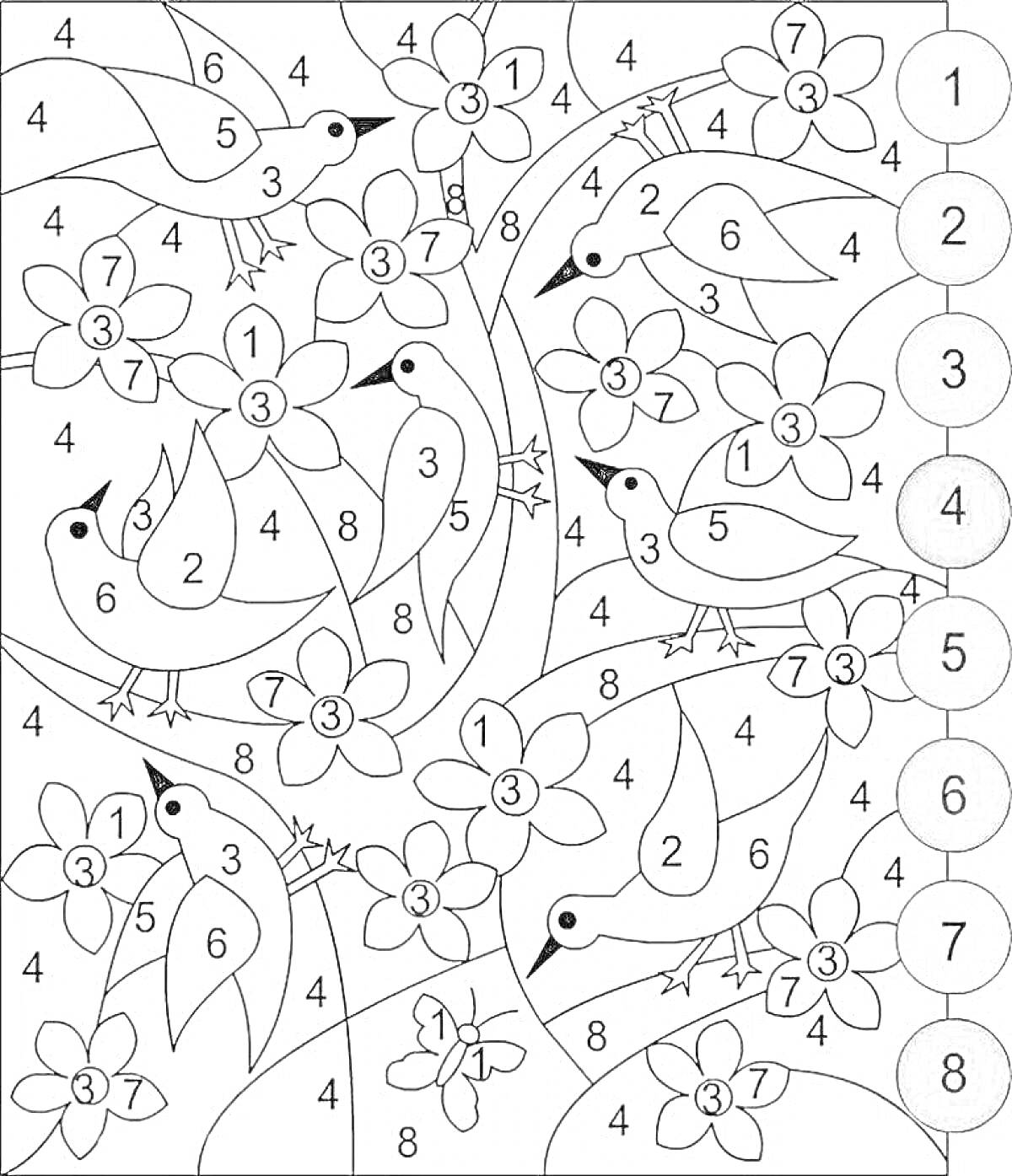 Раскраска Птицы и цветы по номерам