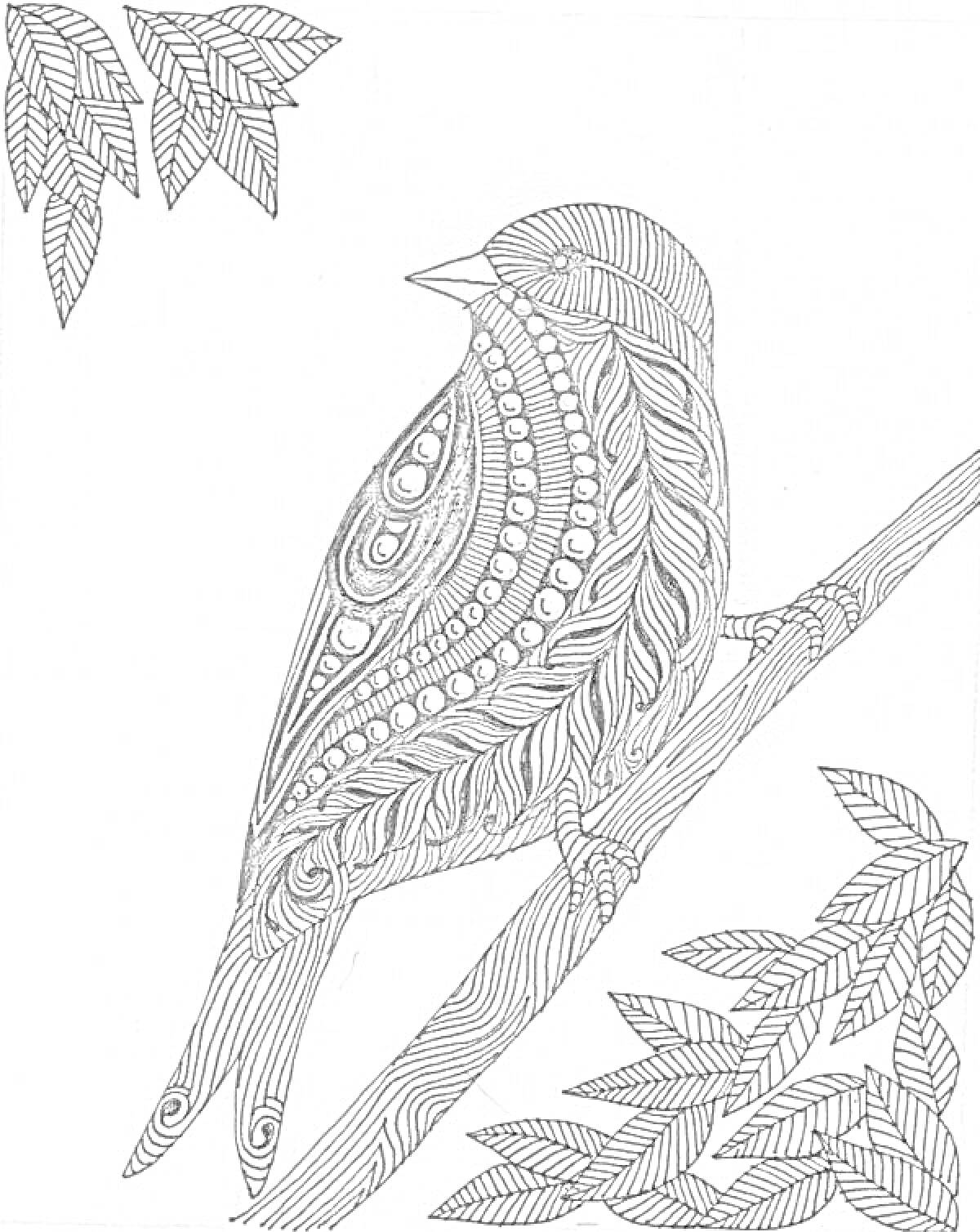 На раскраске изображено: Птица, Ветка, Декоративные узоры, Листья, Орнамент, Природа