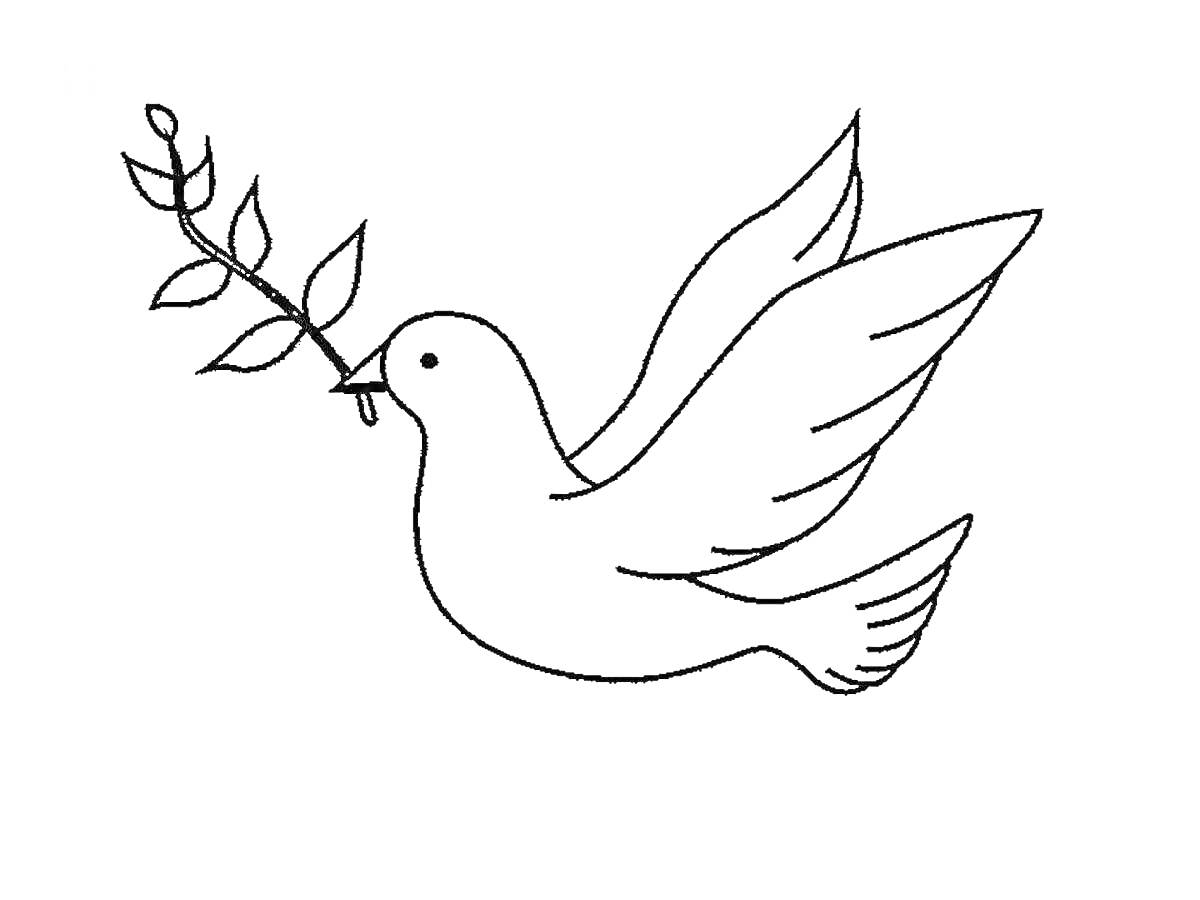 На раскраске изображено: Голубь, Птица, Ветка, Листья, Мир, Полет, Для детей