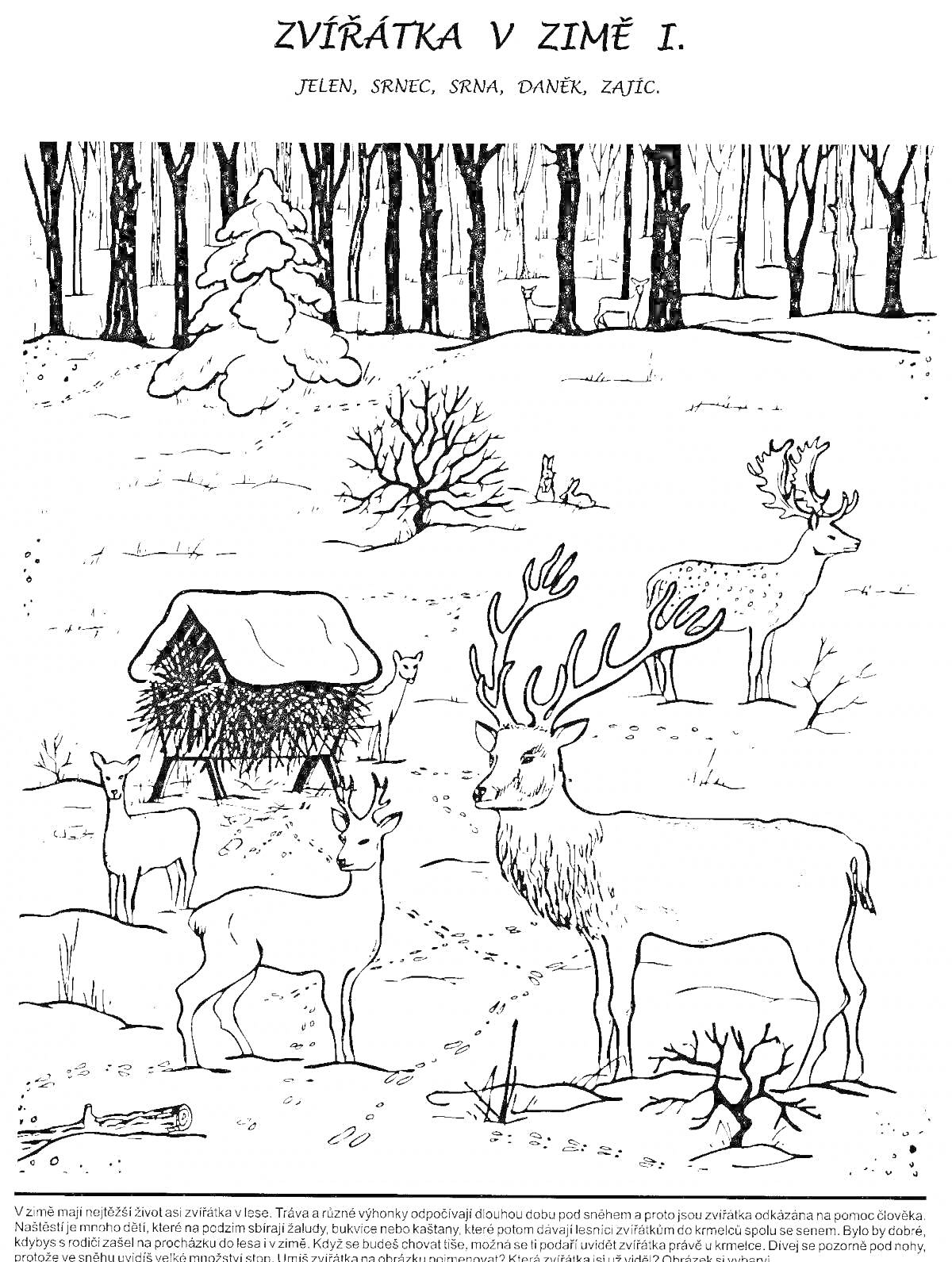 Раскраска Сцена зимовки животных: пять оленей, три дерева, куст, кормушка с крышей, хвойное дерево под снегом, два заячьих следа на снегу