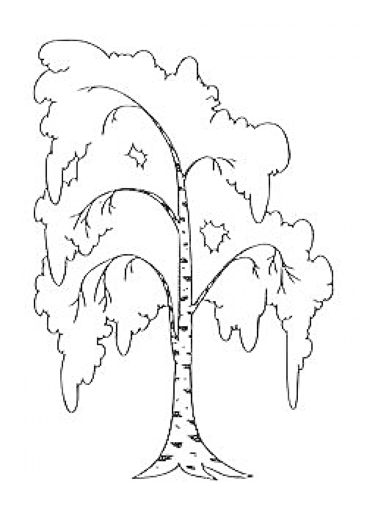 Раскраска Береза с листьями и звездами