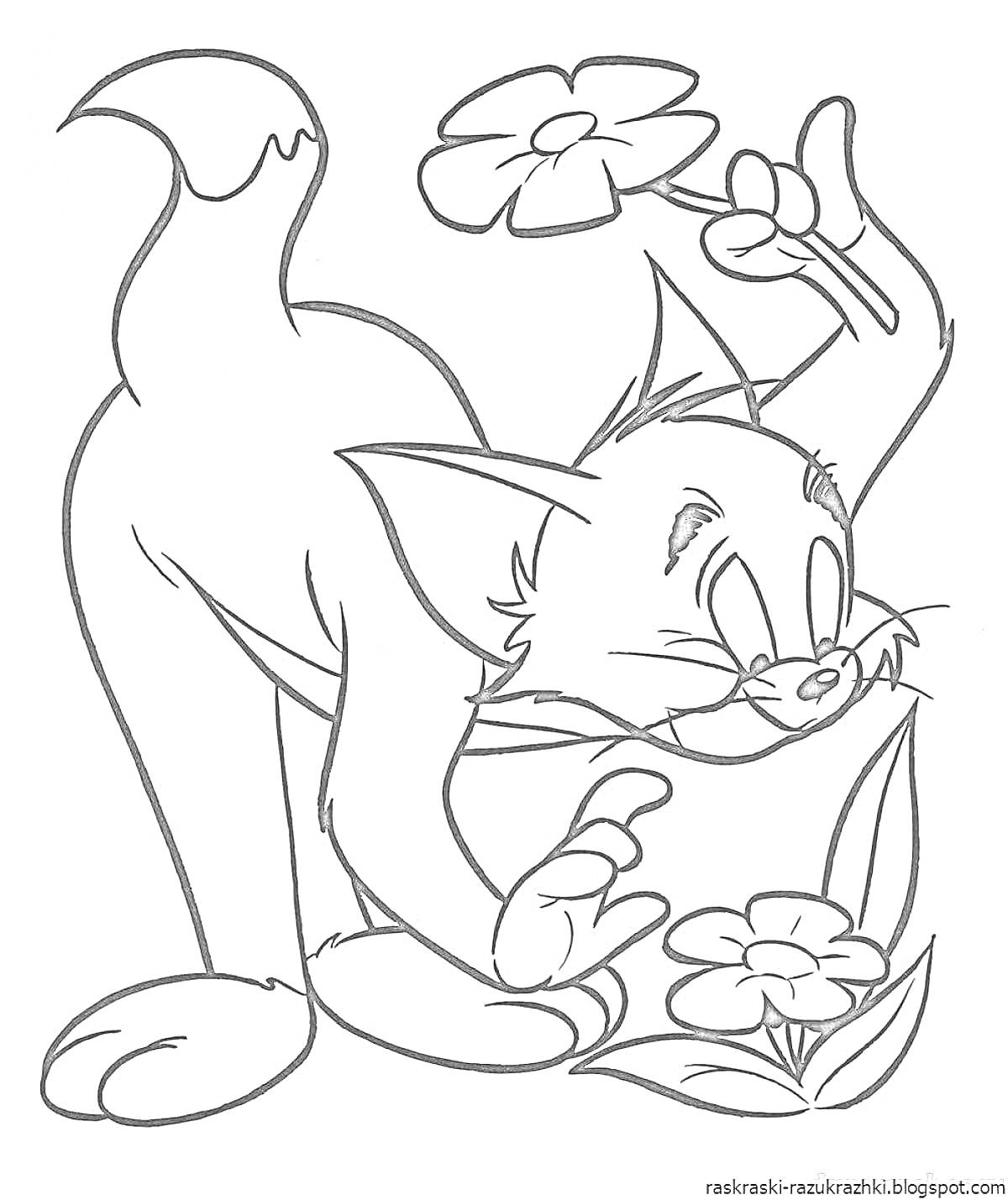 Раскраска Кот с цветами - кот, держащий цветок в правой лапе и нюхающий цветы на земле