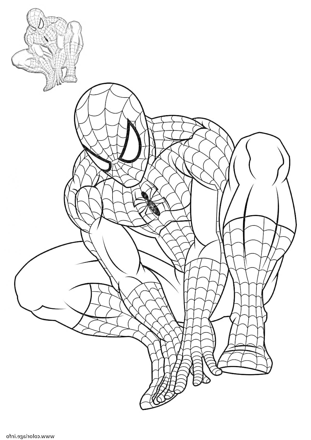 Раскраска Человек-паук в позе на корточках с дополнительным изображением Человека-паука, сидящего на корточках в левом верхнем углу