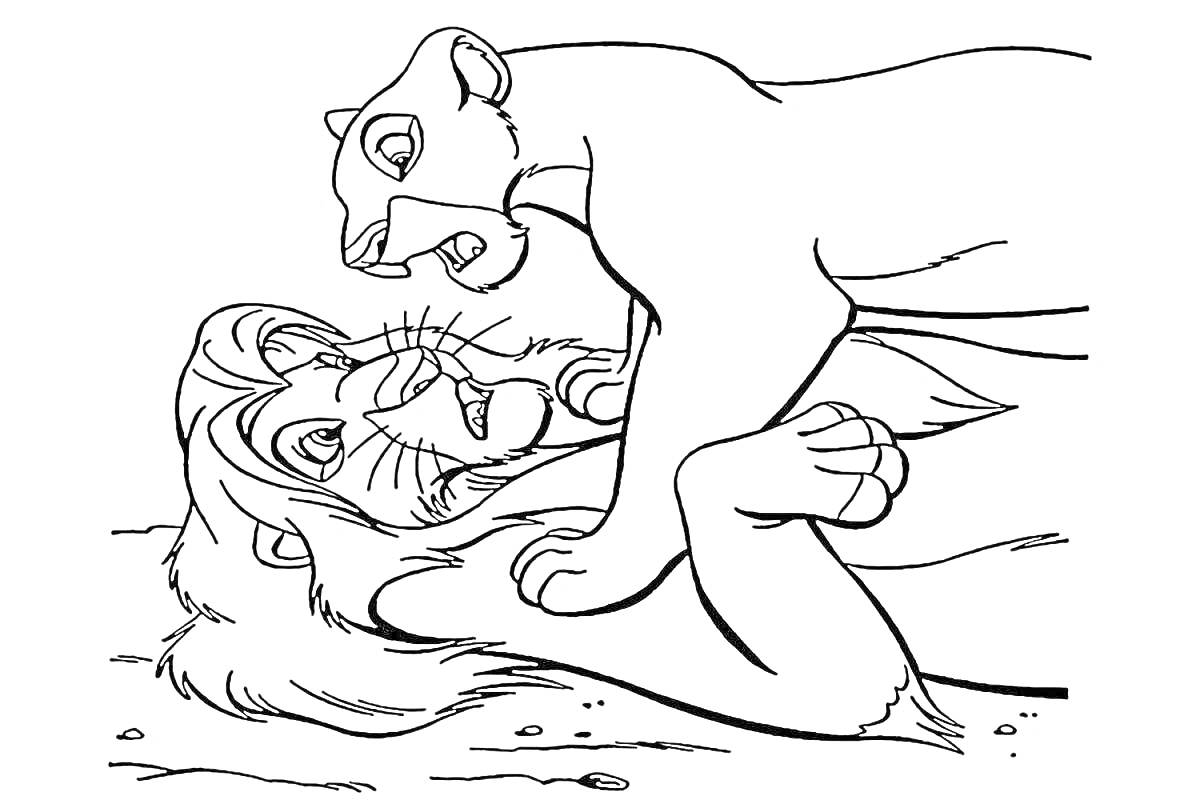На раскраске изображено: Король лев, Нала, Симба, Львы, Игра
