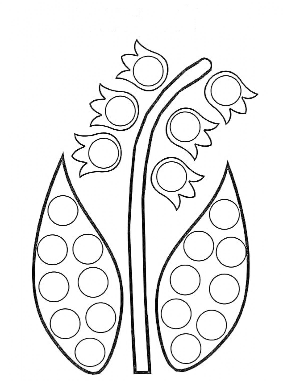 Раскраска цветок ландыш с листочками и кругами для пальчиков
