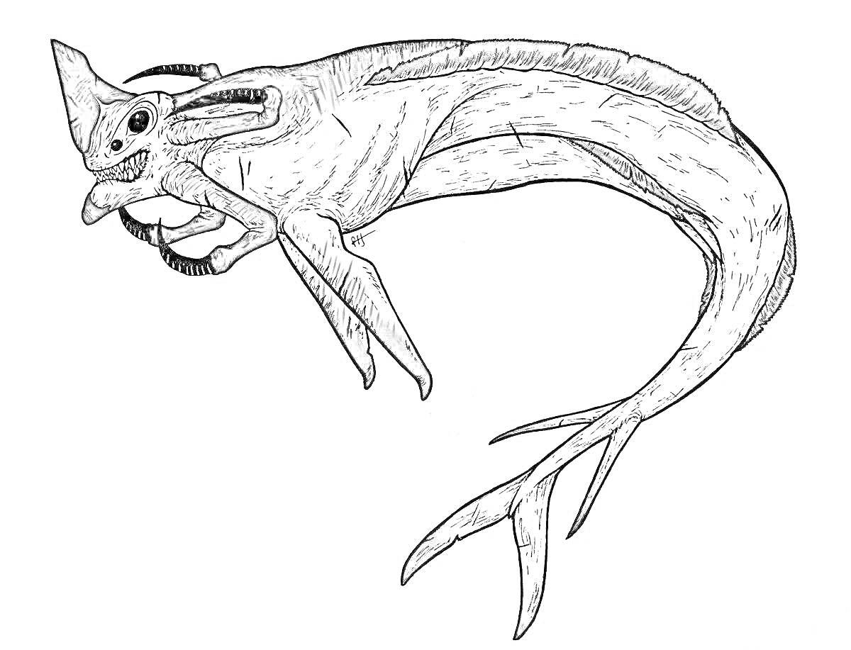 Раскраска Морское существо с длинным хвостом, плавниками и зубастой пастью