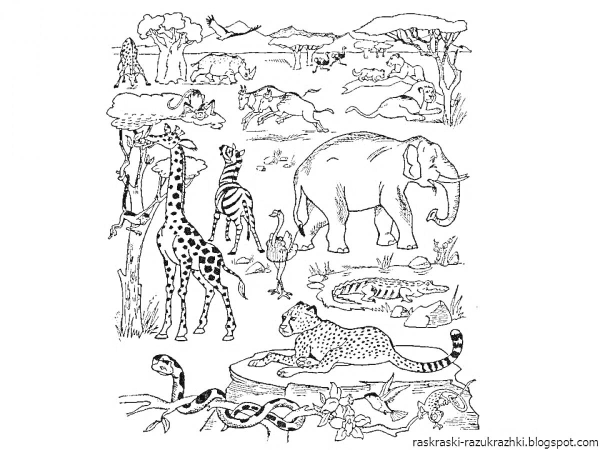 На раскраске изображено: Животные жарких стран, Африканская саванна, Слон, Леопард, Львы, Змеи, Антилопы, Природа, Деревья