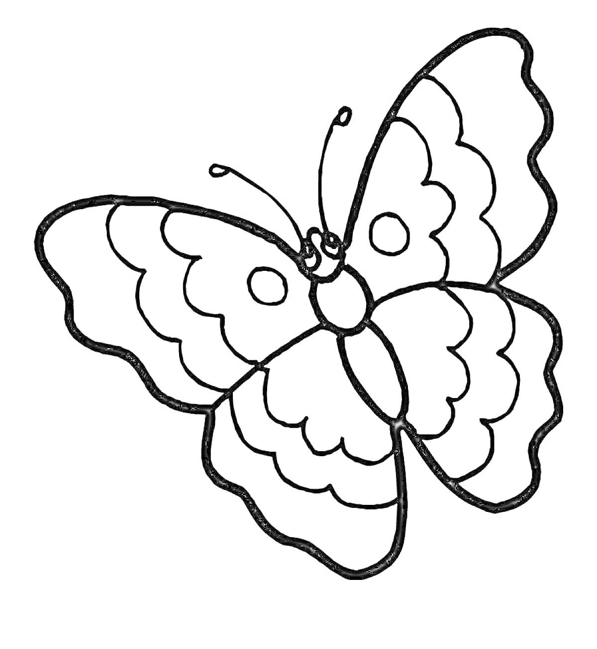 На раскраске изображено: Бабочка, 6 лет, 7 лет, Крылья, Антенны, Узоры, Животные, Насекомое, Для детей